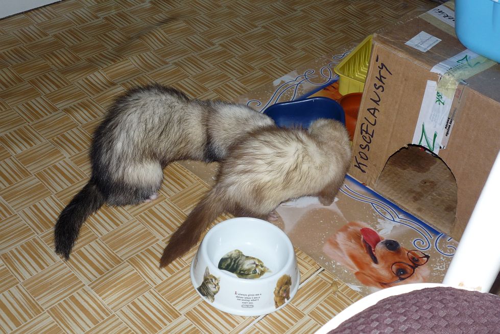 P1000349.JPG